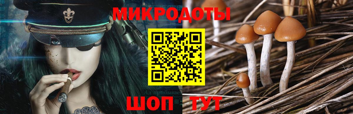 Галлюциногенные грибы Cubensis  Вход с VPN  Учалы 